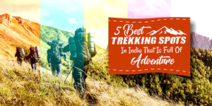 5 Best Trekking Spots in India that is full of adventure