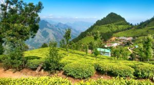 7-Lands-Connected-By-People-Culture-and-Religion-Visit-The-7-Sisters-Of-India-in-2020-800x445